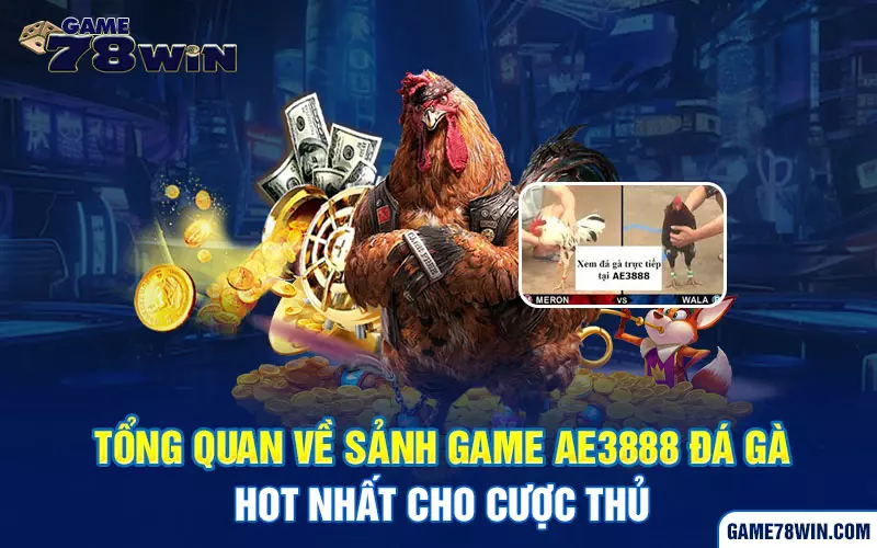 Tổng quan về sảnh game AE3888 đá gà hot nhất cho cược thủ