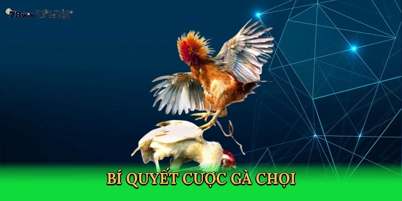 bi-quyet-cuoc-ga-choi-4