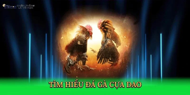 tim-hieu-da-ga-cua-dao-2