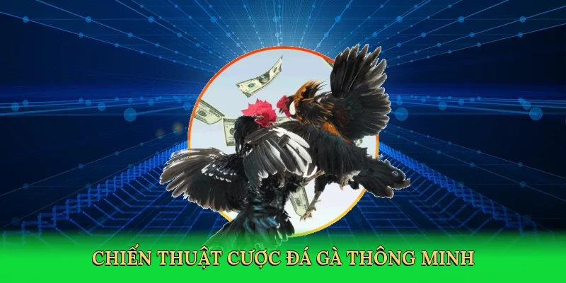 Chiến thuật cược đá gà thông minh