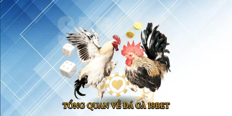 tong-quan-ve-da-ga-i9bet-1