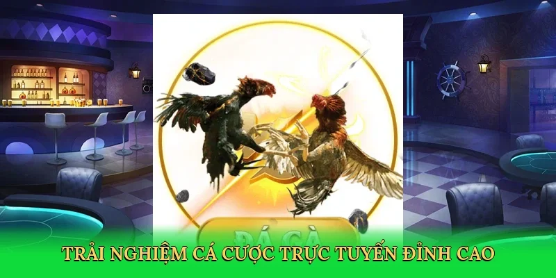 Trải nghiệm cá cược trực tuyến đỉnh cao