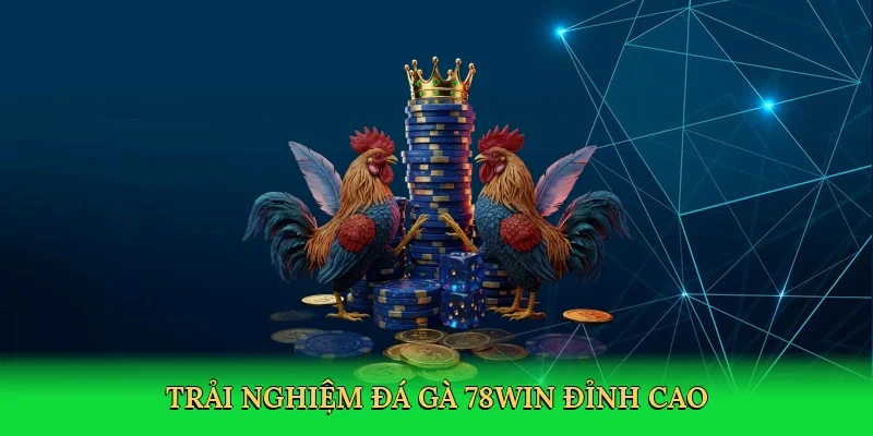 Trải nghiệm Đá gà 78Win đỉnh cao