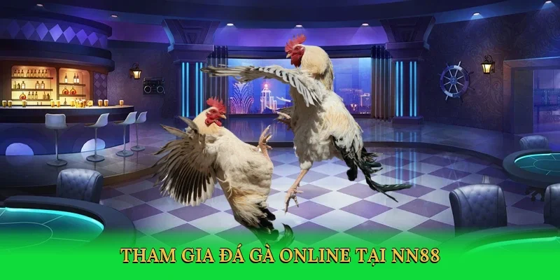 Tham gia đá gà online tại NN88
